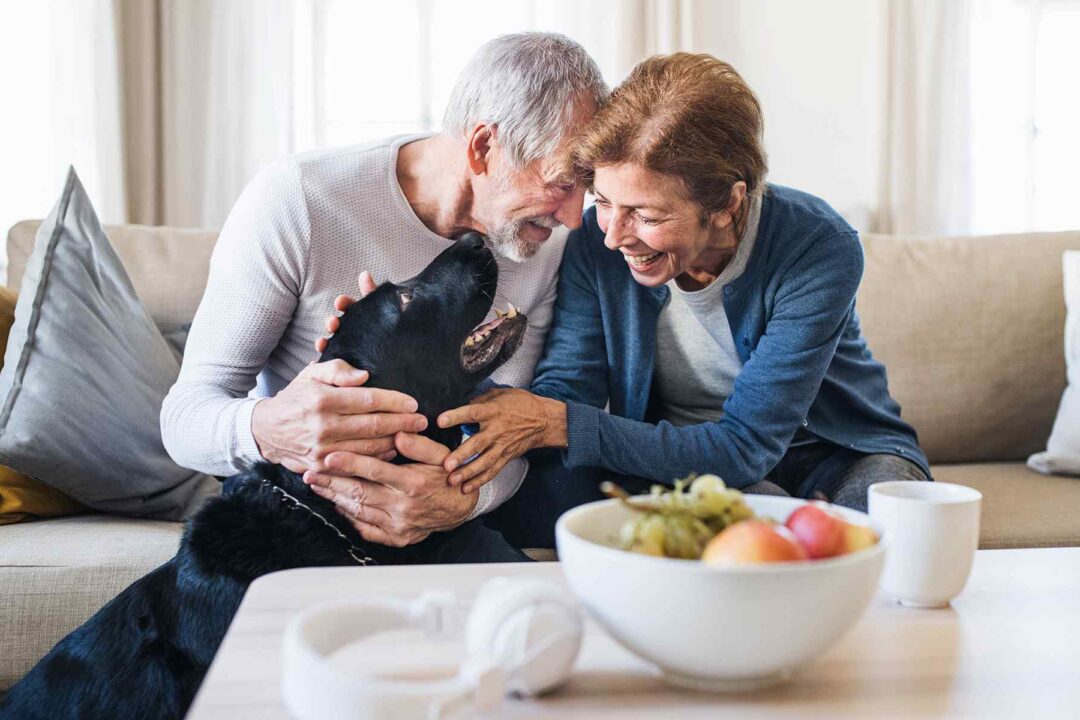 ¿Eres pensionado y no sabes si tienes que presentar declaración anual?